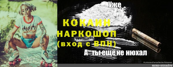 Альфа ПВП Баксан
