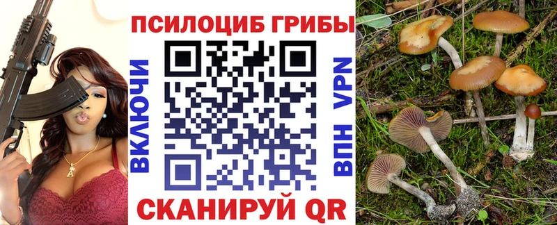 блэк спрут зеркало  Среднеколымск  Псилоцибиновые грибы Cubensis 